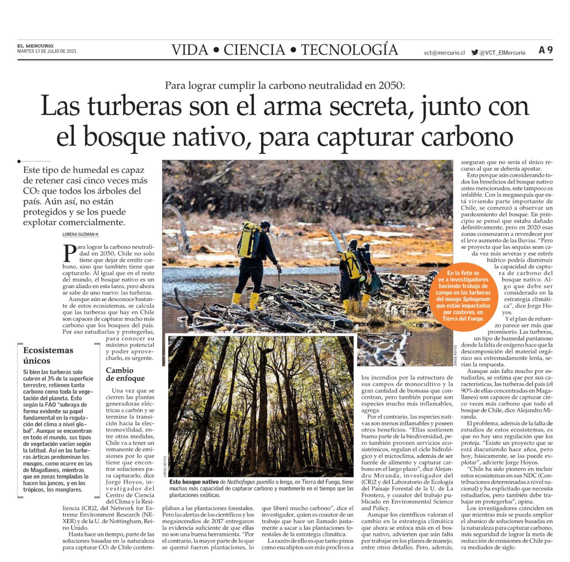 Las turberas son el arma secreta, junto con el bosque nativo, para capturar  carbono (El Mercurio) | Centro de Ciencia del Clima y la Resiliencia - CR2